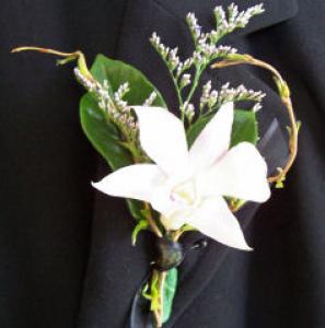 Dendrobium Boutonniere